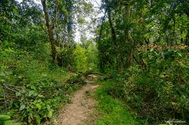 Trekking path