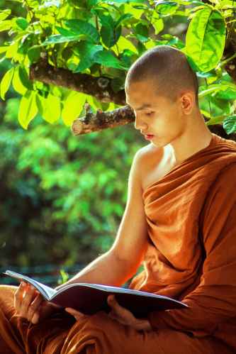 Thai Forest monk